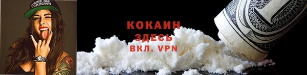 spice Аркадак