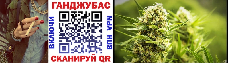 Каннабис гибрид  MEGA tor  Салаир 